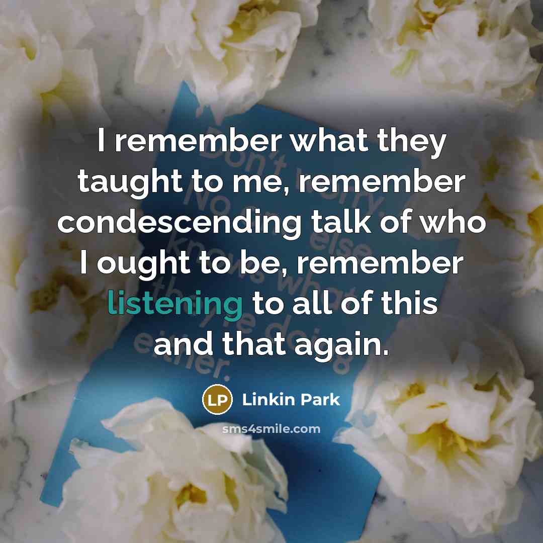 “I remember what they taught to me, remember condescending talk…” quote by Linkin Park