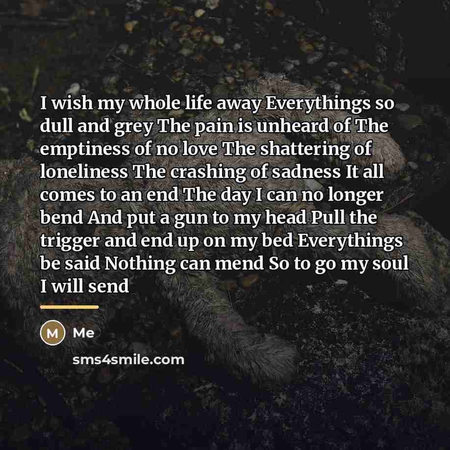 “I wish my whole life away Everythings so dull and…” quote by Me