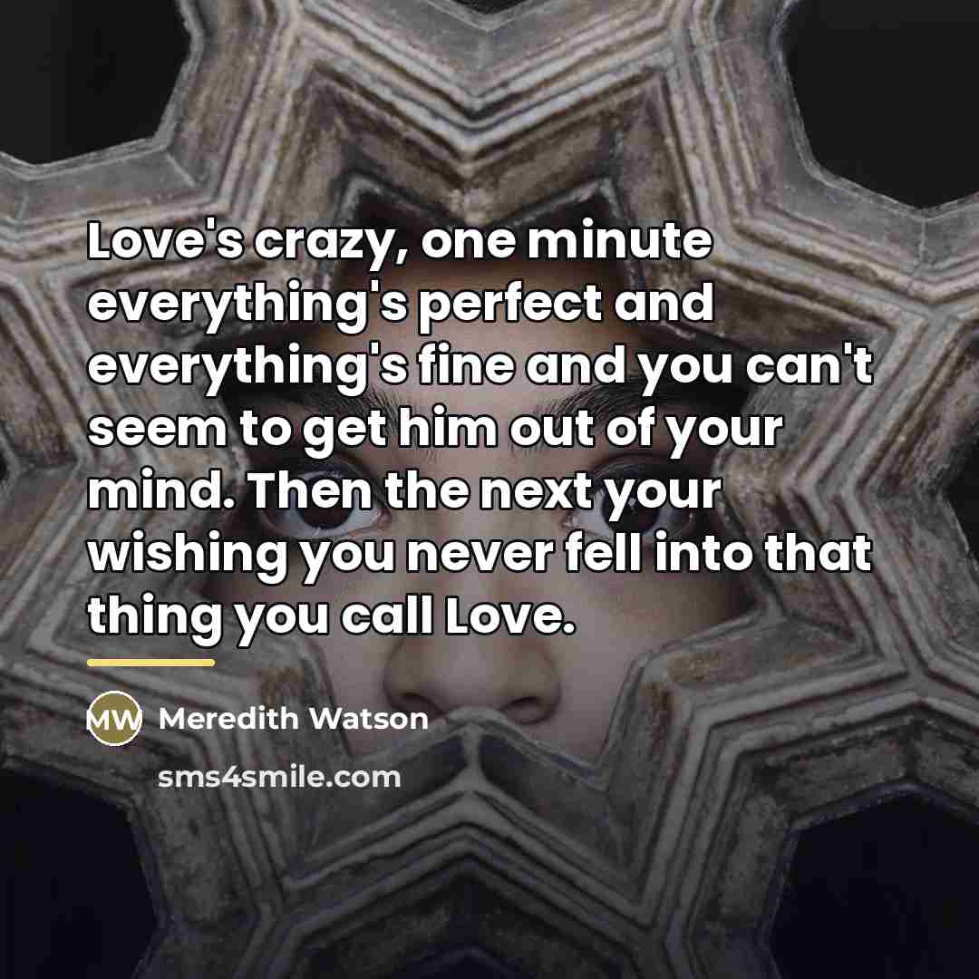 “Love's crazy, one minute everything's perfect and everything's fine and…” quote by Meredith Watson