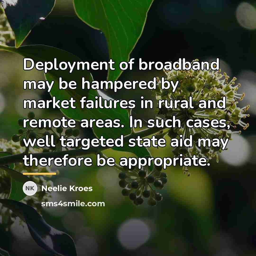 “Deployment of broadband may be hampered by market failures in…” quote by Neelie Kroes