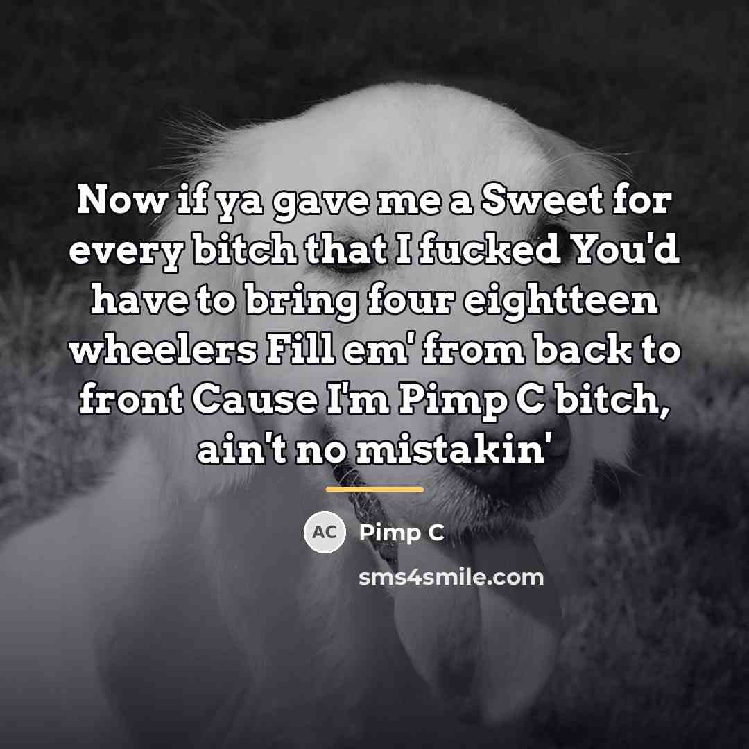 “Now if ya gave me a Sweet for every bitch…” quote by Pimp C