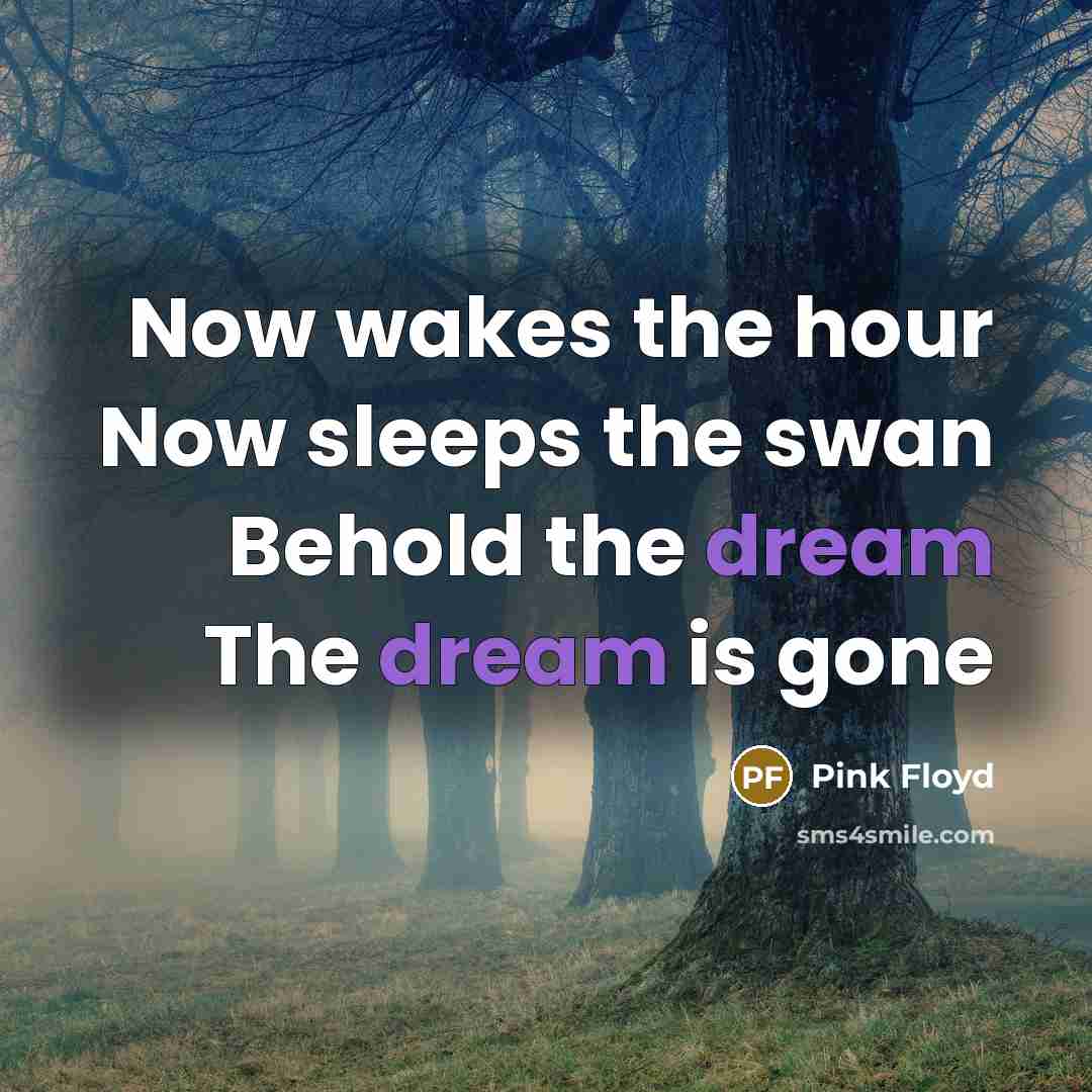 “Now wakes the hour Now sleeps the swan Behold the…” quote by Pink Floyd