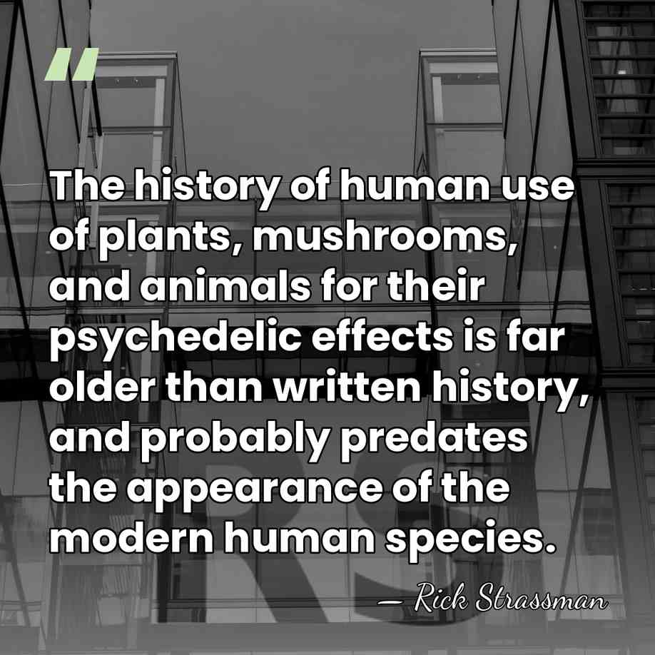 The history of human use of plants, mushrooms, and animals for their&hellip; - Rick Strassman