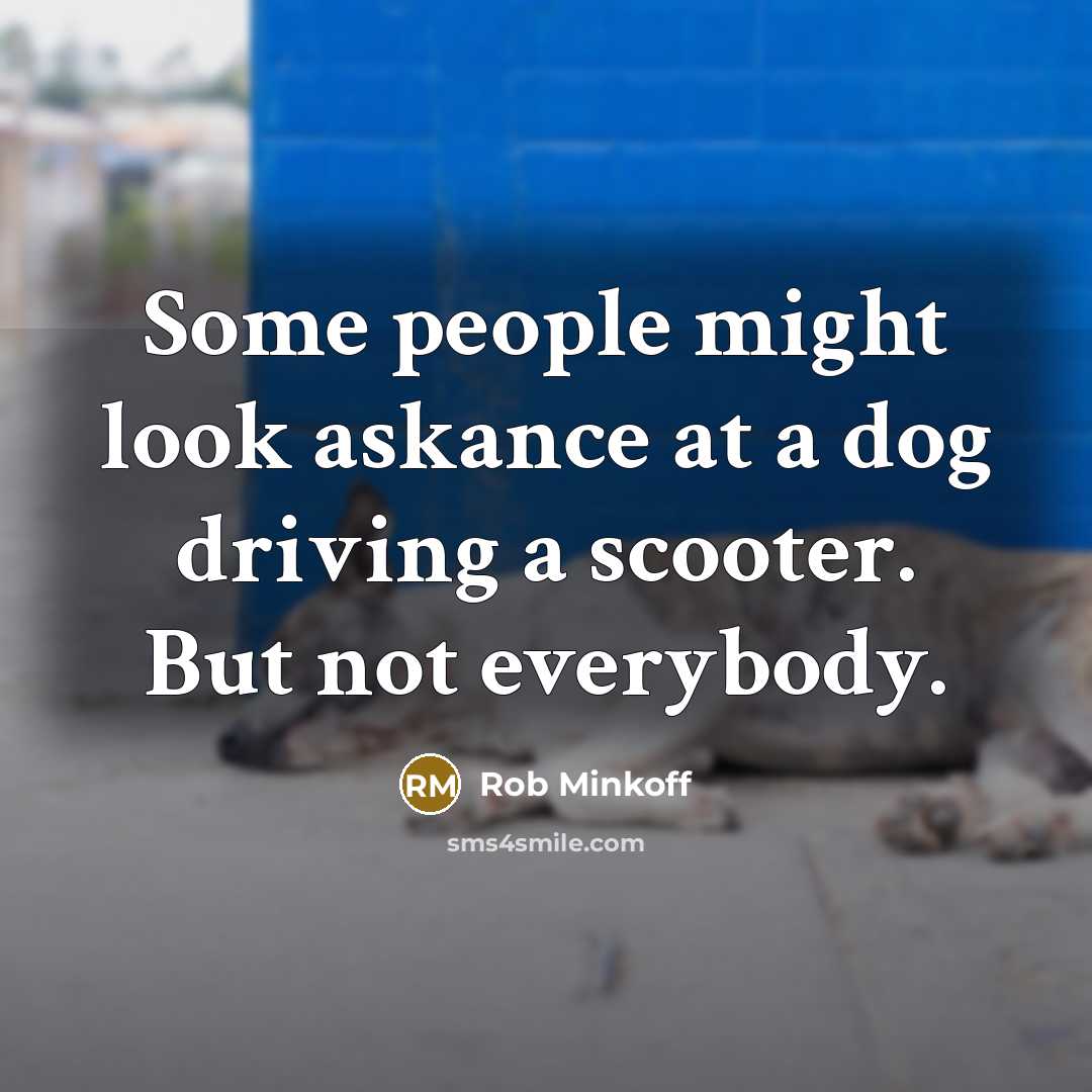 “Some people might look askance at a dog driving a scooter. But not everybody.” quote by Rob Minkoff