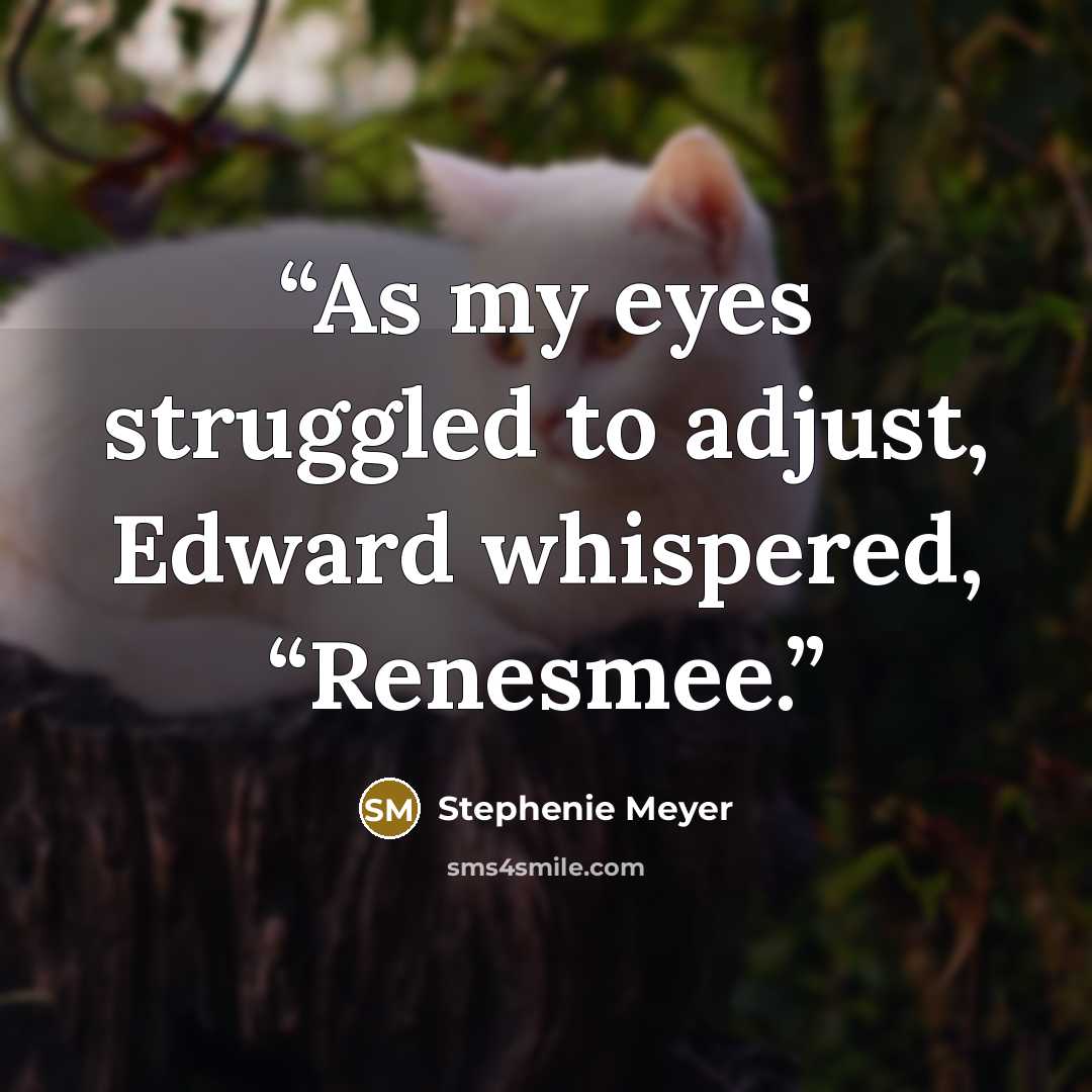 “As my eyes struggled to adjust, Edward whispered, “Renesmee.” quote by Stephenie Meyer