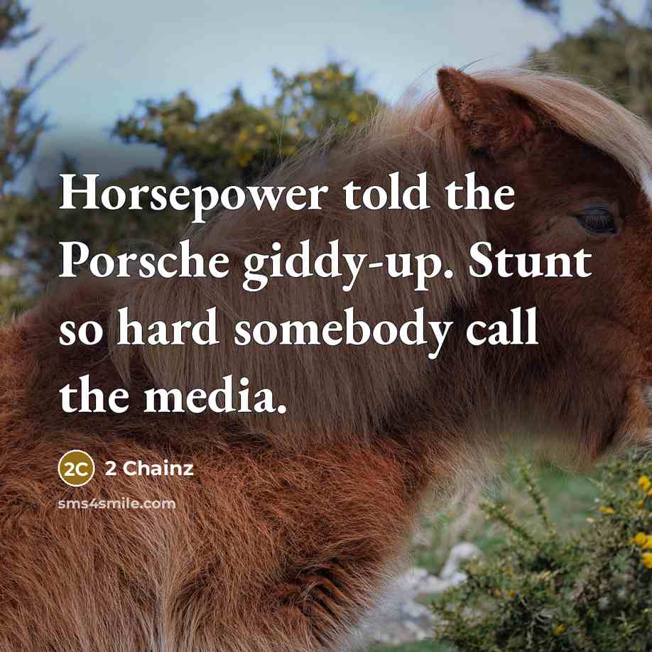 “Horsepower told the Porsche giddy-up. Stunt so hard somebody call…” quote by 2 Chainz
