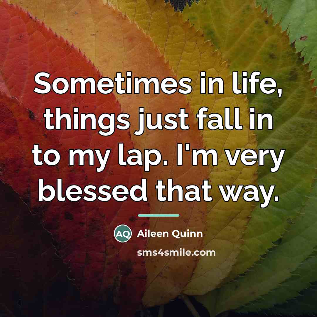 “Sometimes in life, things just fall in to my lap.…” quote by Aileen Quinn