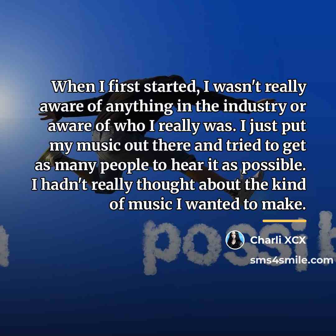 “When I first started, I wasn't really aware of anything…” quote by Charli XCX