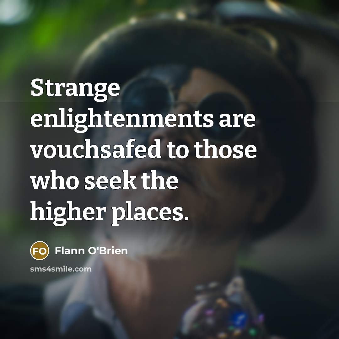 “Strange enlightenments are vouchsafed to those who seek the higher…” quote by Flann O'Brien