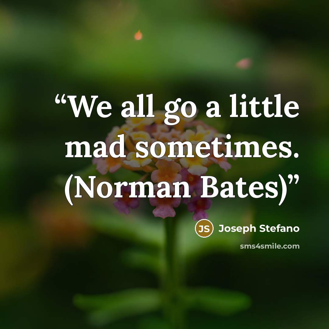 “We all go a little mad sometimes. (Norman Bates)” quote by Joseph Stefano