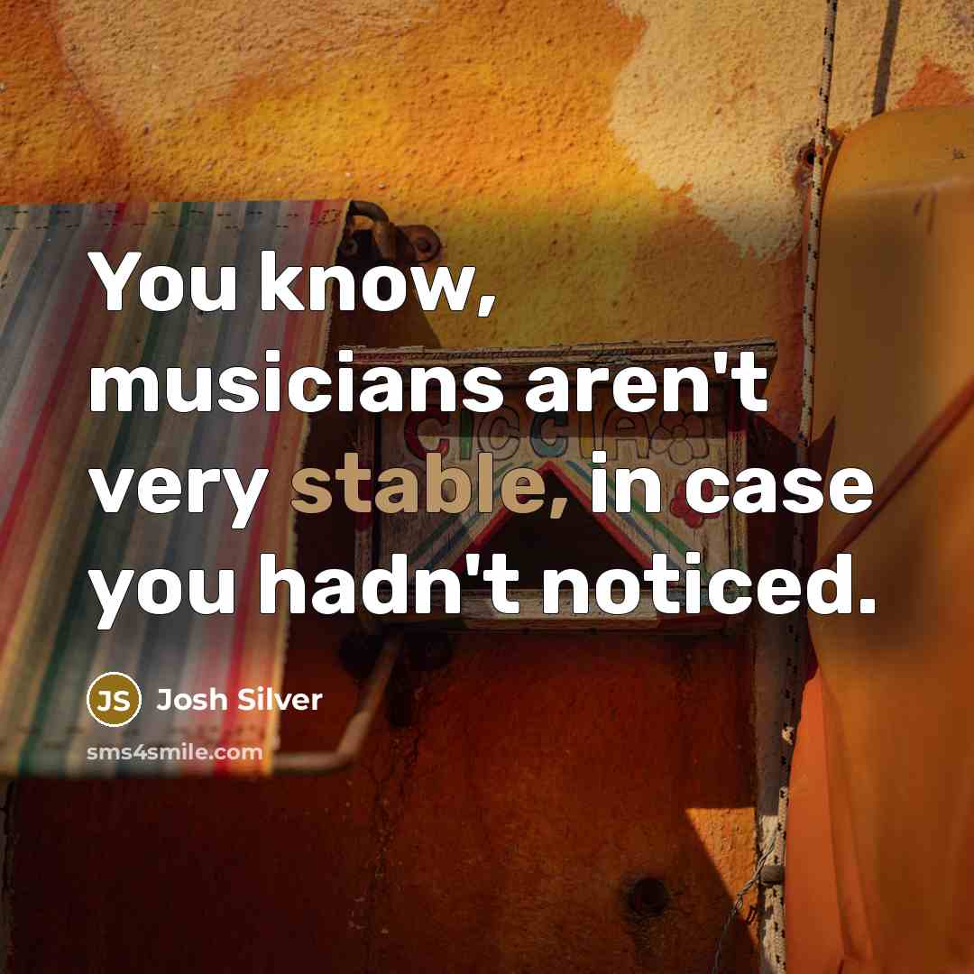 “You know, musicians aren't very stable, in case you hadn't…” quote by Josh Silver