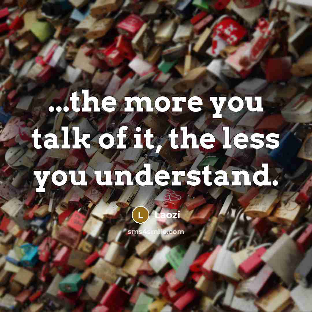 “...the more you talk of it, the less you understand.…” quote by Laozi