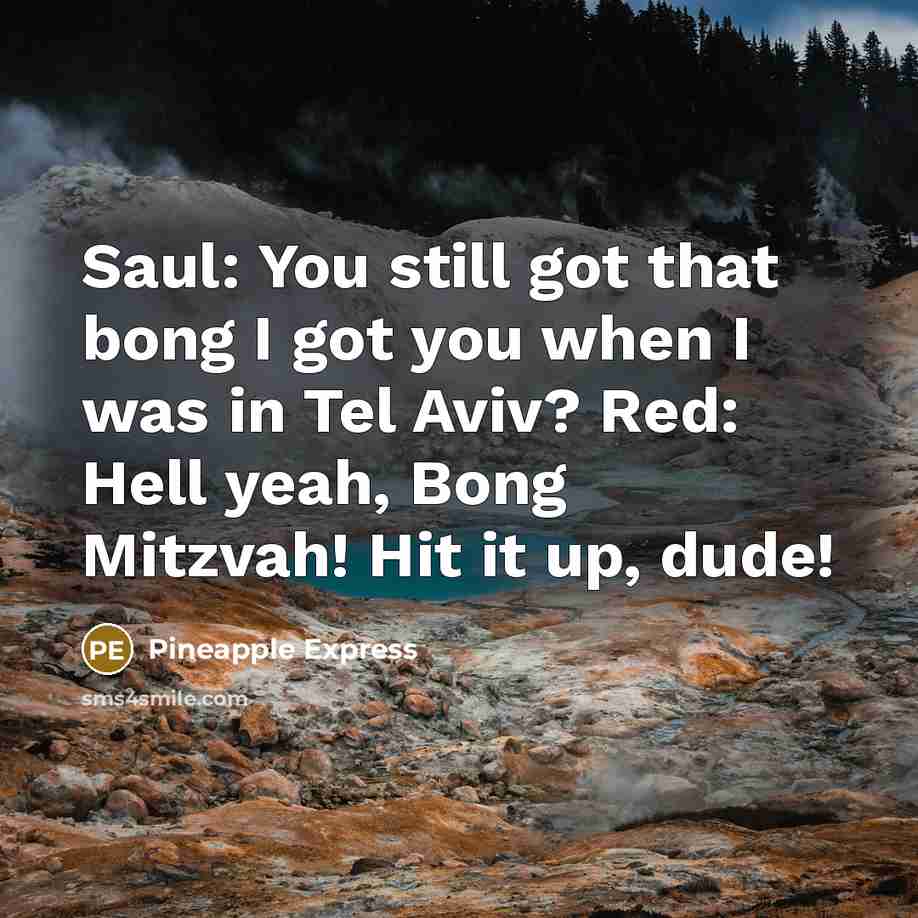 “Saul: You still got that bong I got you when…” quote by Pineapple Express