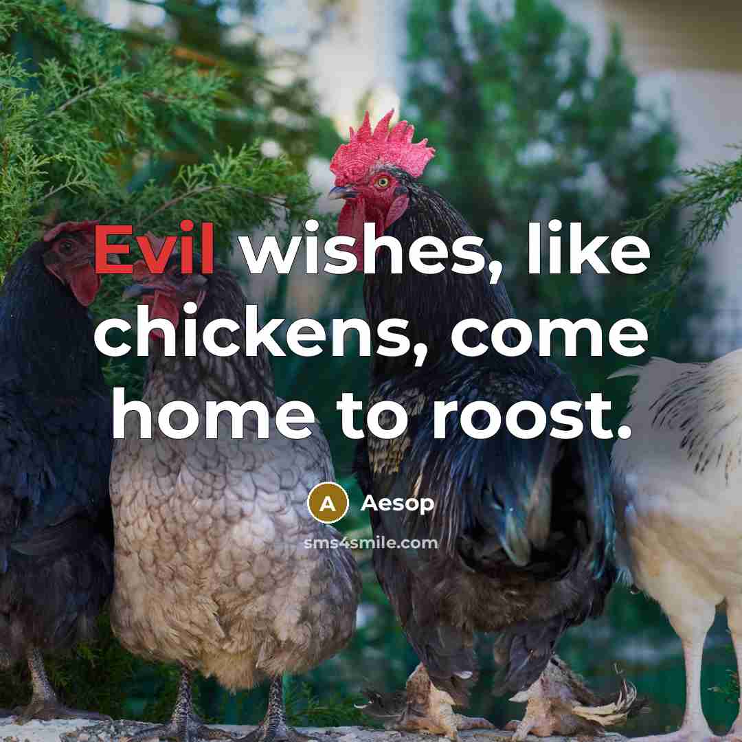 “Evil wishes, like chickens, come home to roost.…” quote by Aesop