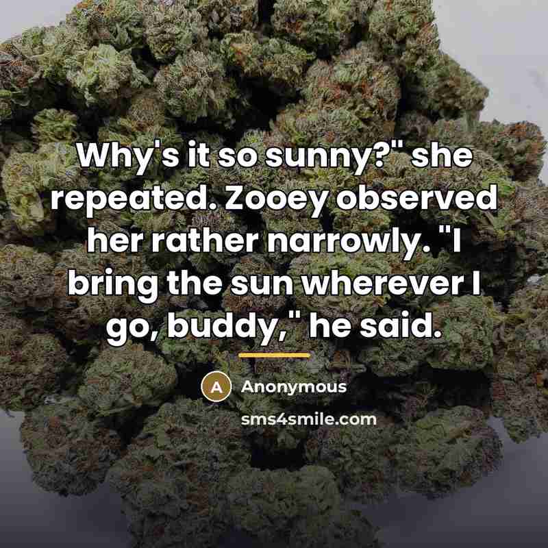 “Why's it so sunny?" she repeated. Zooey observed her rather…” quote by Anonymous
