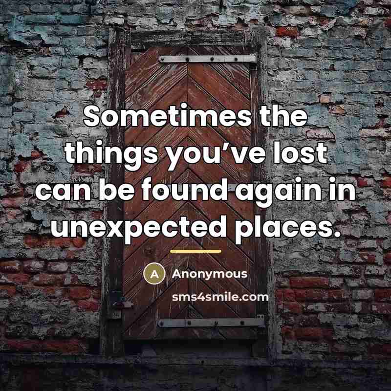 “Sometimes the things you’ve lost can be found again in…” quote by Anonymous