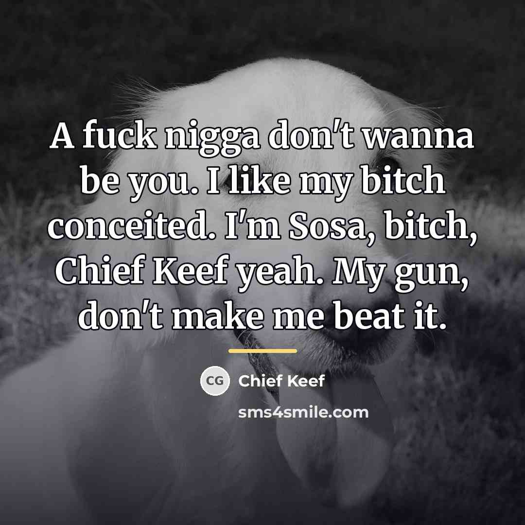 “A fuck nigga don't wanna be you. I like my…” quote by Chief Keef
