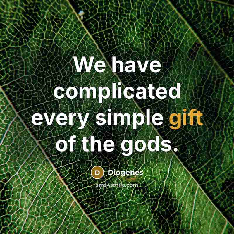 “We have complicated every simple gift of the gods.…” quote by Diogenes