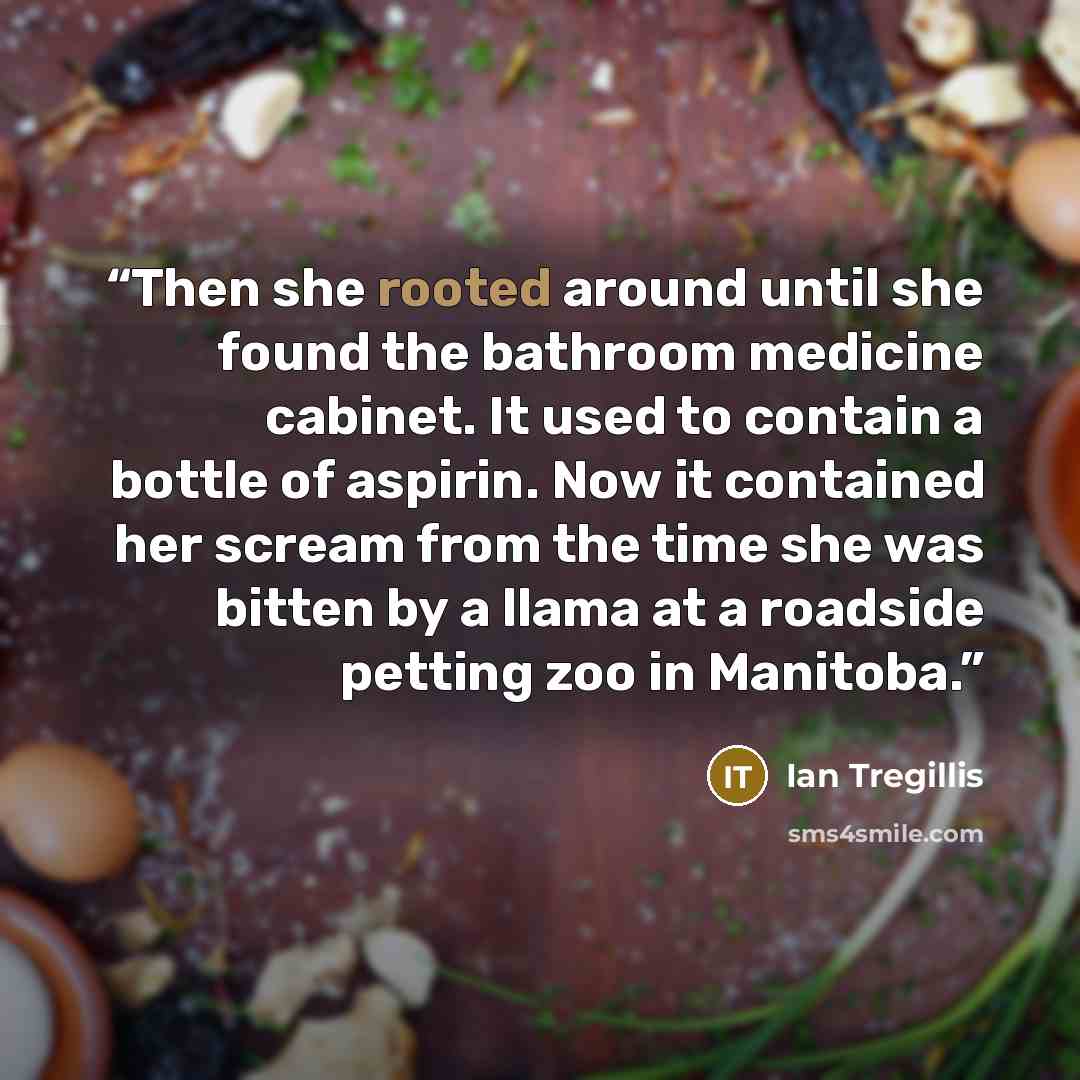 “Then she rooted around until she found the bathroom medicine cabinet. It used to contain a bottle of aspirin. Now it contained her scream from the time she was bitten by a llama at a roadside petting zoo in Manitoba.” quote by Ian Tregillis