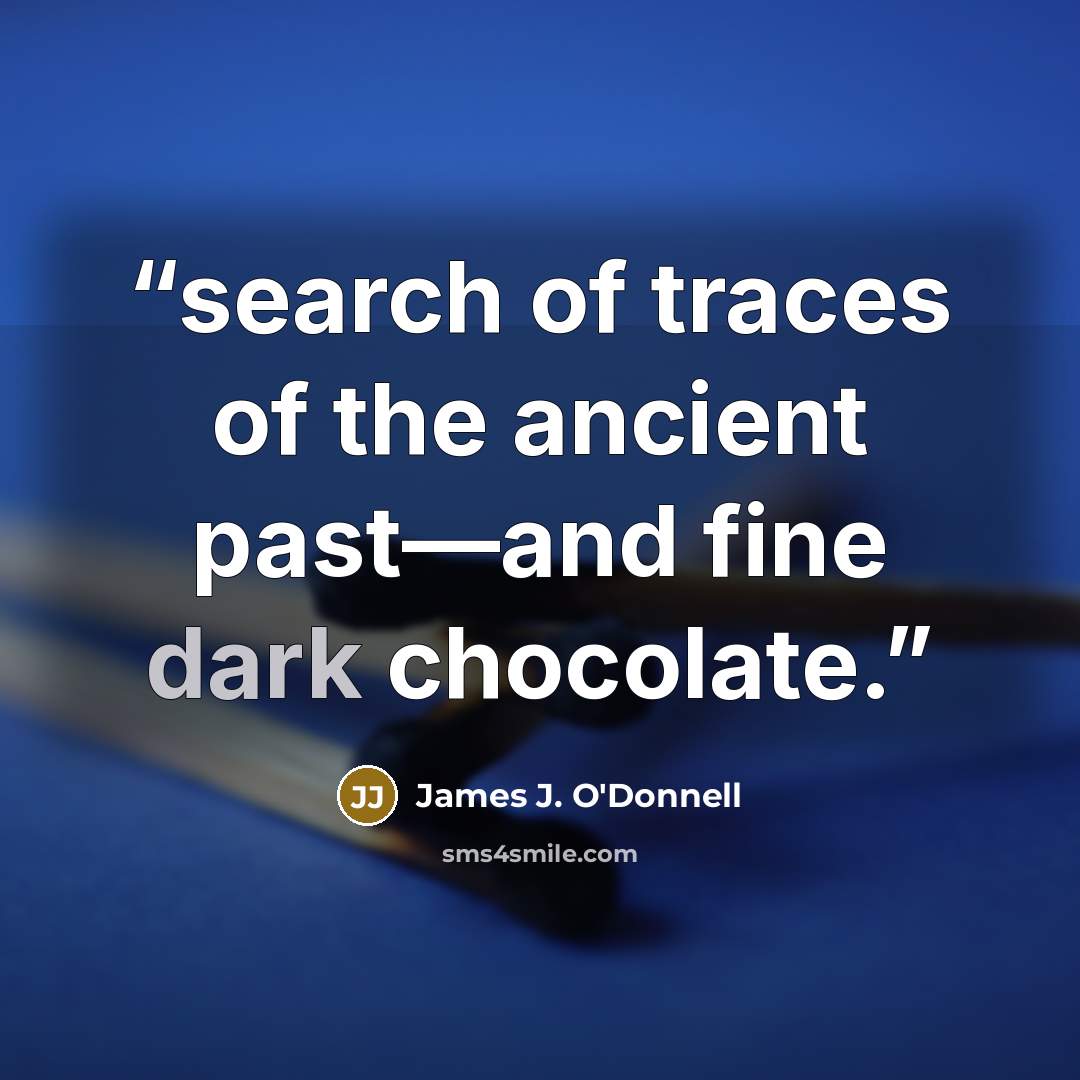 “search of traces of the ancient past—and fine dark chocolate.” quote by James J. O'Donnell