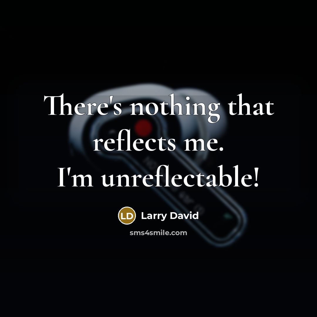 “There's nothing that reflects me. I'm unreflectable!…” quote by Larry David