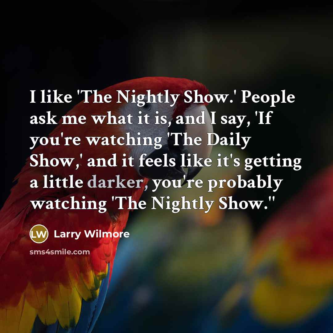 “I like 'The Nightly Show.' People ask me what it…” quote by Larry Wilmore
