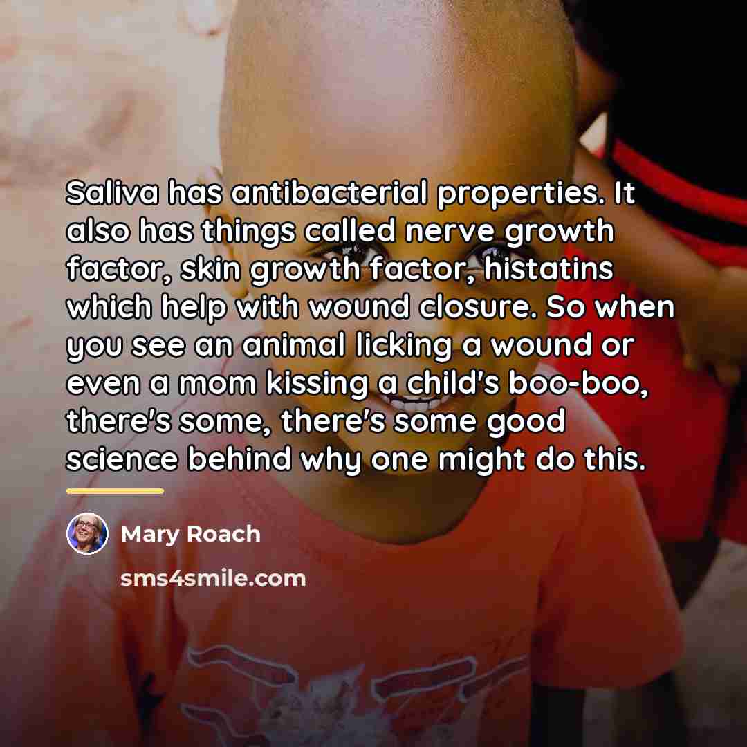 “Saliva has antibacterial properties. It also has things called nerve…” quote by Mary Roach