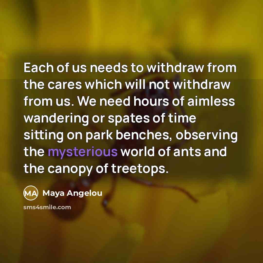 “Each of us needs to withdraw from the cares which…” quote by Maya Angelou