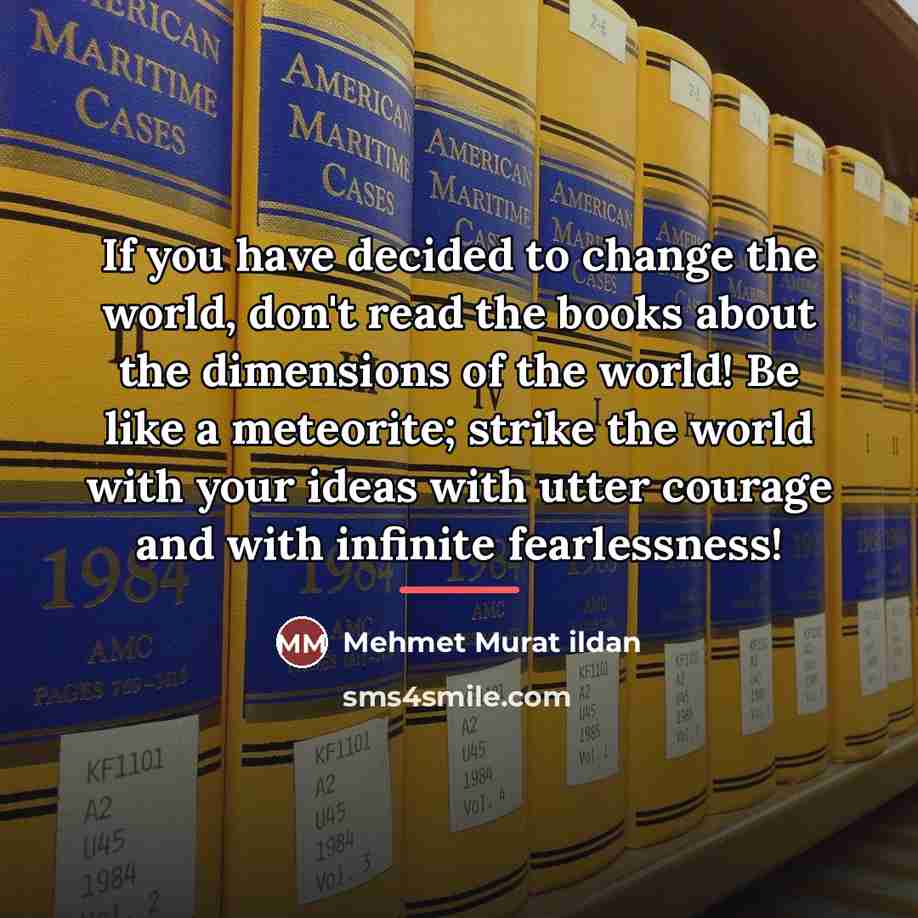 “If you have decided to change the world, don't read…” quote by Mehmet Murat Ildan