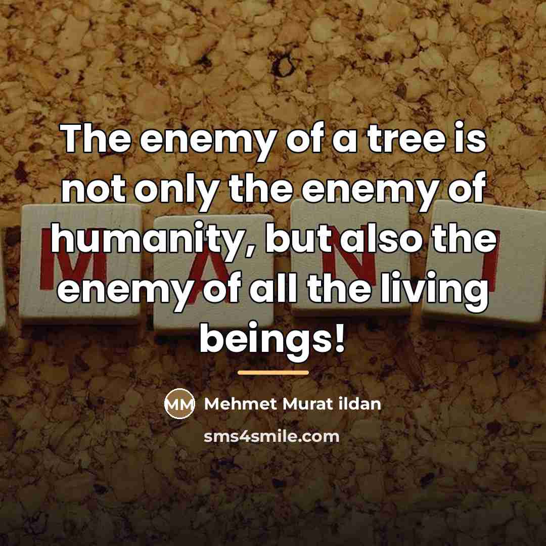 “The enemy of a tree is not only the enemy…” quote by Mehmet Murat Ildan