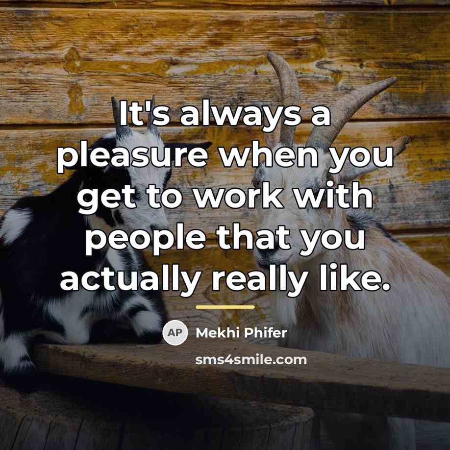“It's always a pleasure when you get to work with…” quote by Mekhi Phifer