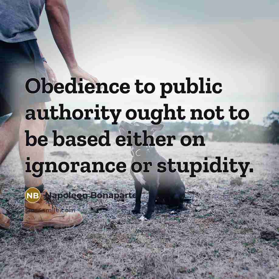 “Obedience to public authority ought not to be based either…” quote by Napoleon Bonaparte