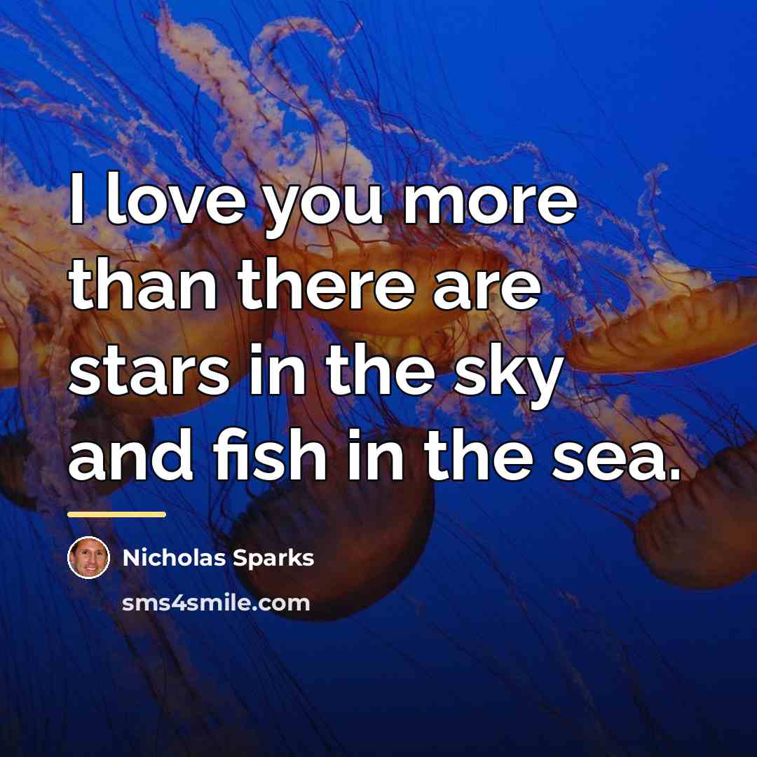 “I love you more than there are stars in the…” quote by Nicholas Sparks