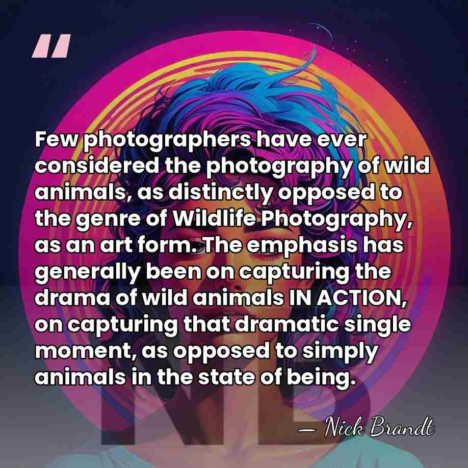Few photographers have ever considered the photography of wild animals, as distinctly&hellip; - Nick Brandt