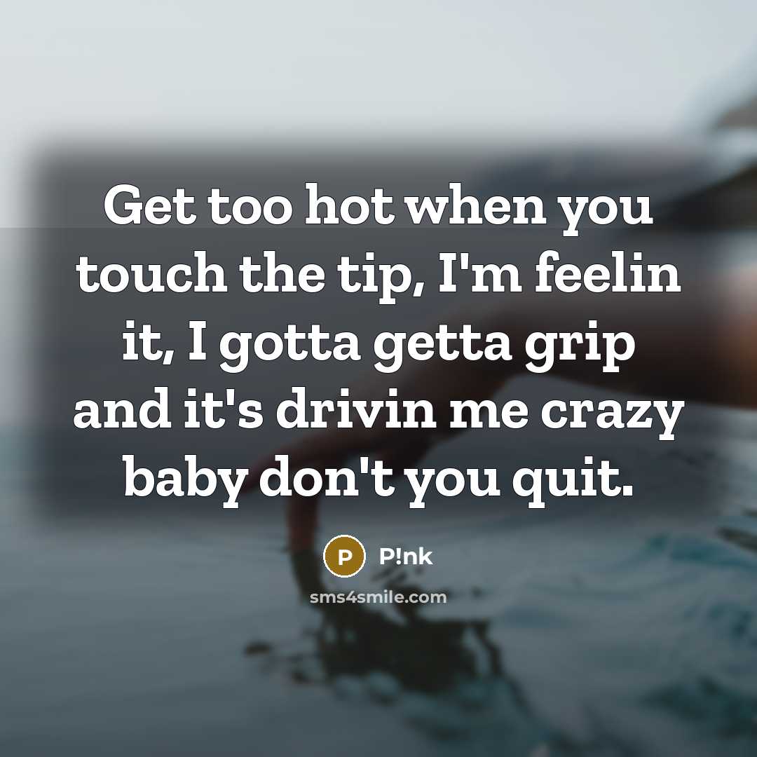 “Get too hot when you touch the tip, I'm feelin it, I gotta getta grip and it's drivin me crazy baby don't you quit.” quote by P!nk