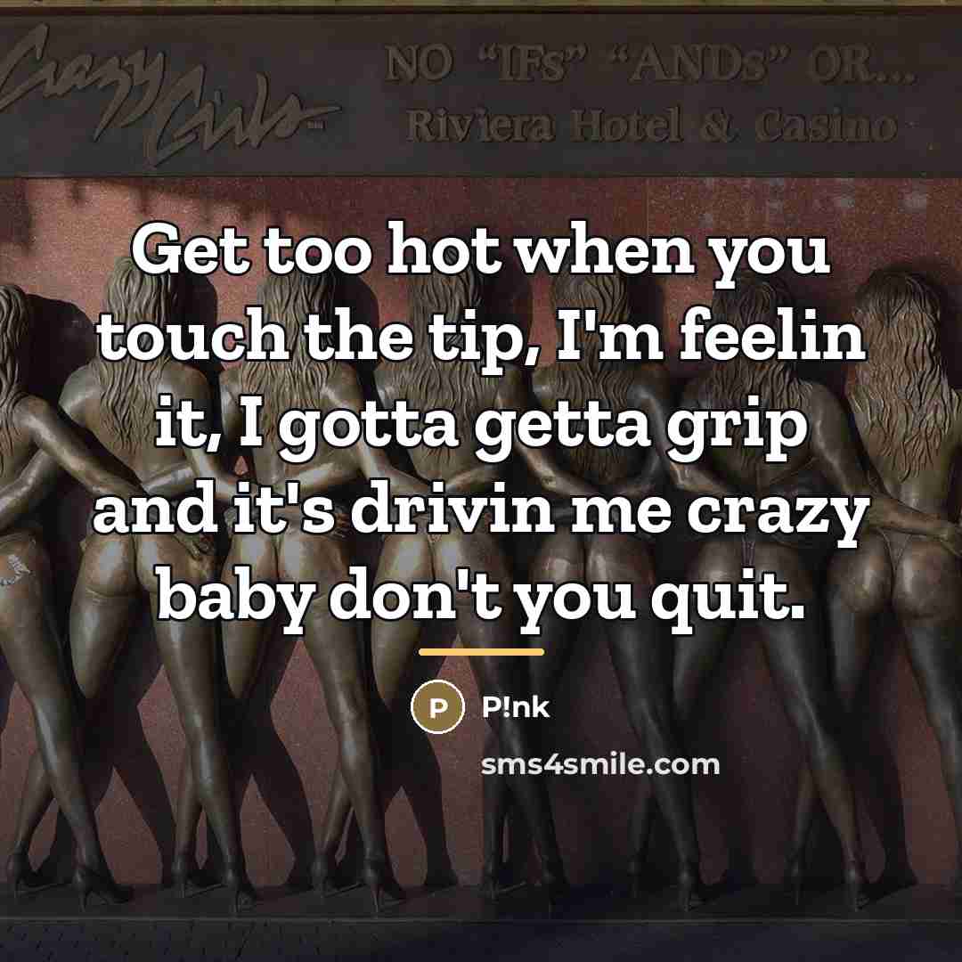 “Get too hot when you touch the tip, I'm feelin…” quote by P!nk