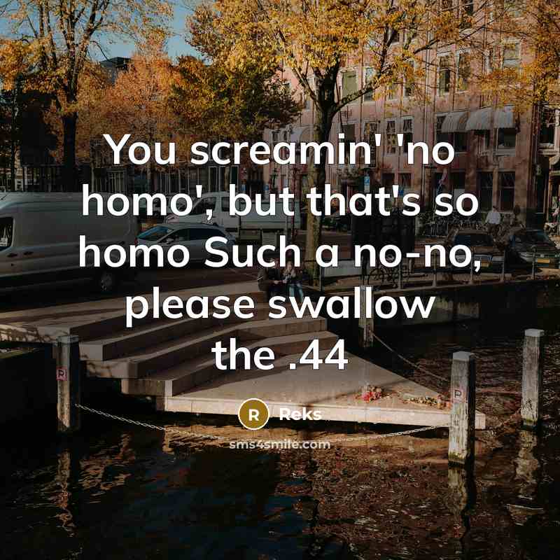 “You screamin' 'no homo', but that's so homo Such a…” quote by Reks
