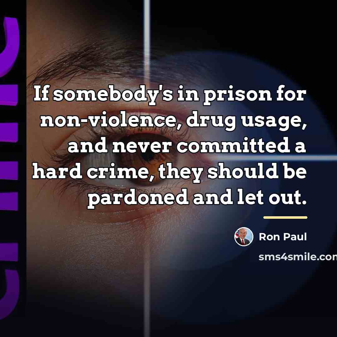 “If somebody's in prison for non-violence, drug usage, and never…” quote by Ron Paul