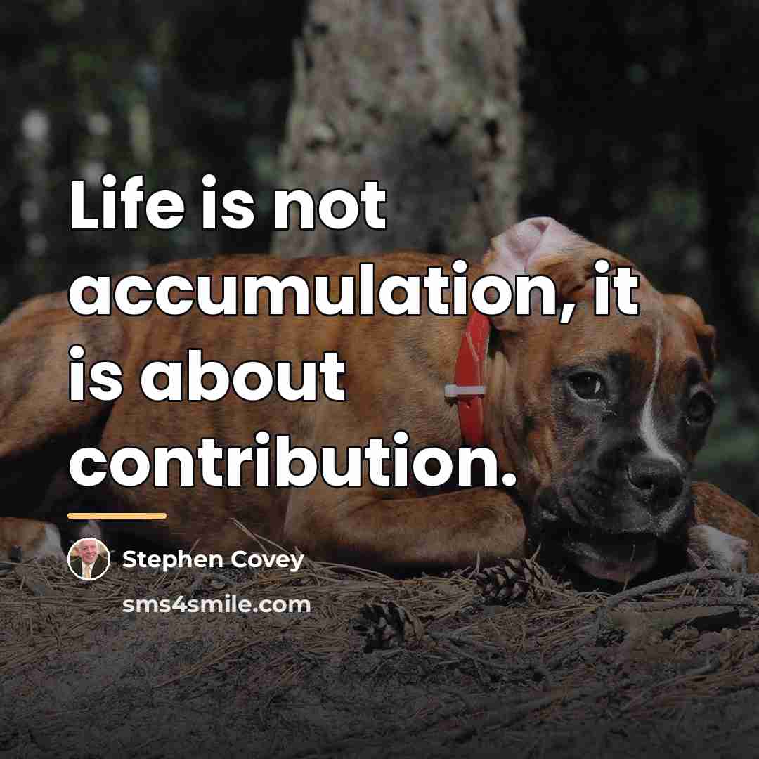 “Life is not accumulation, it is about contribution.…” quote by Stephen Covey
