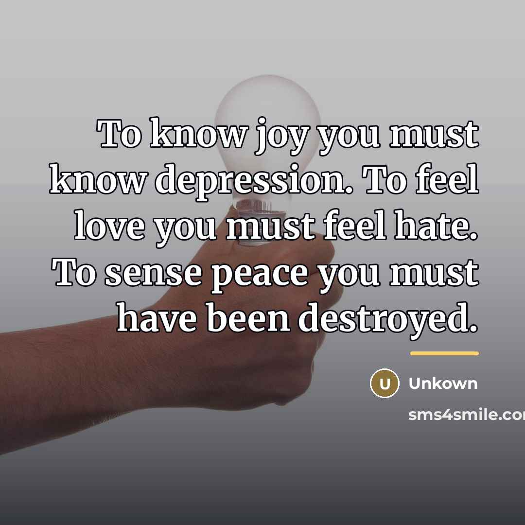 “To know joy you must know depression. To feel love…” quote by Unkown