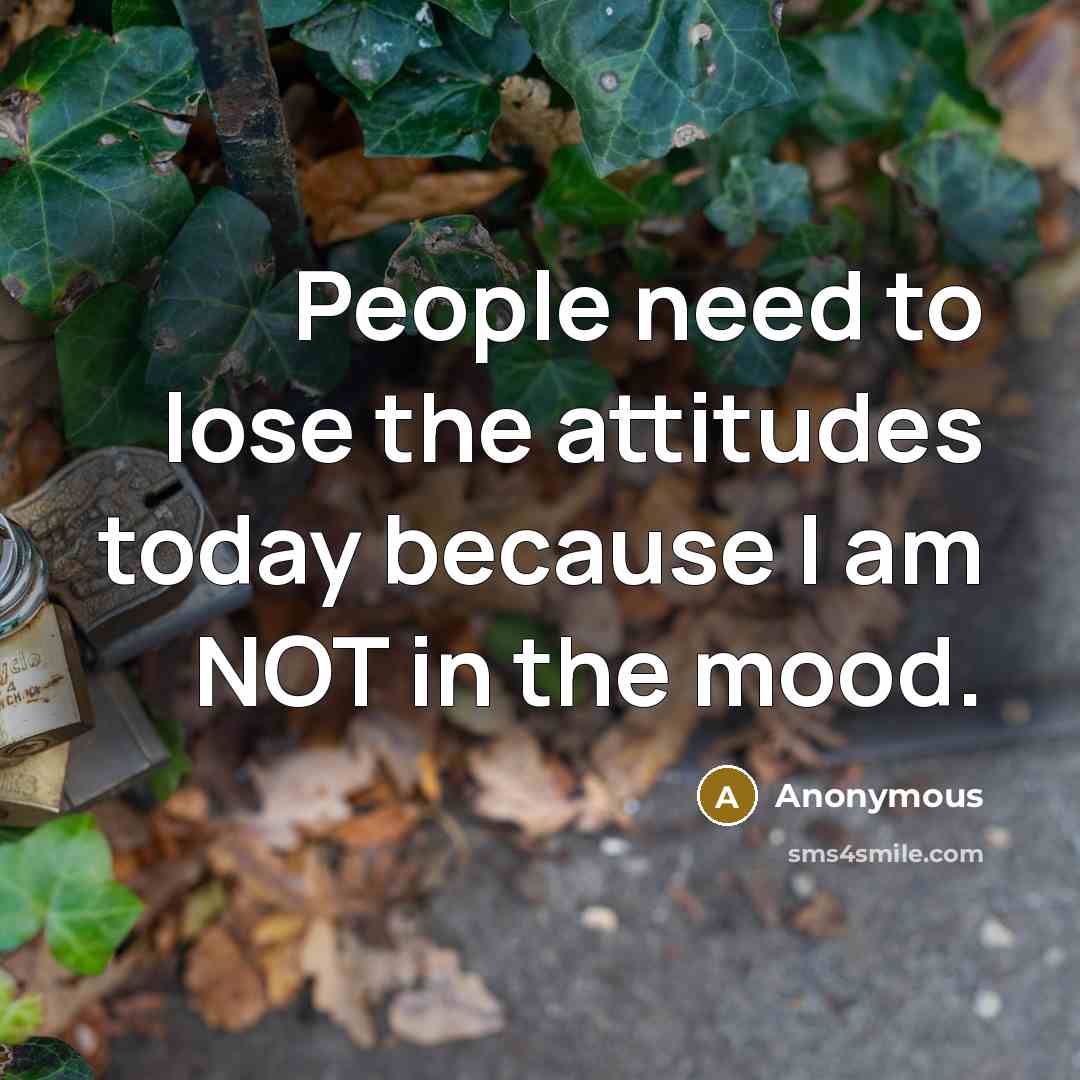 “People need to lose the attitudes today because I am…” quote by Anonymous