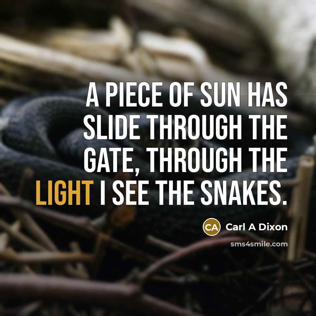 “A piece of sun has slide through the gate, through…” quote by Carl A Dixon