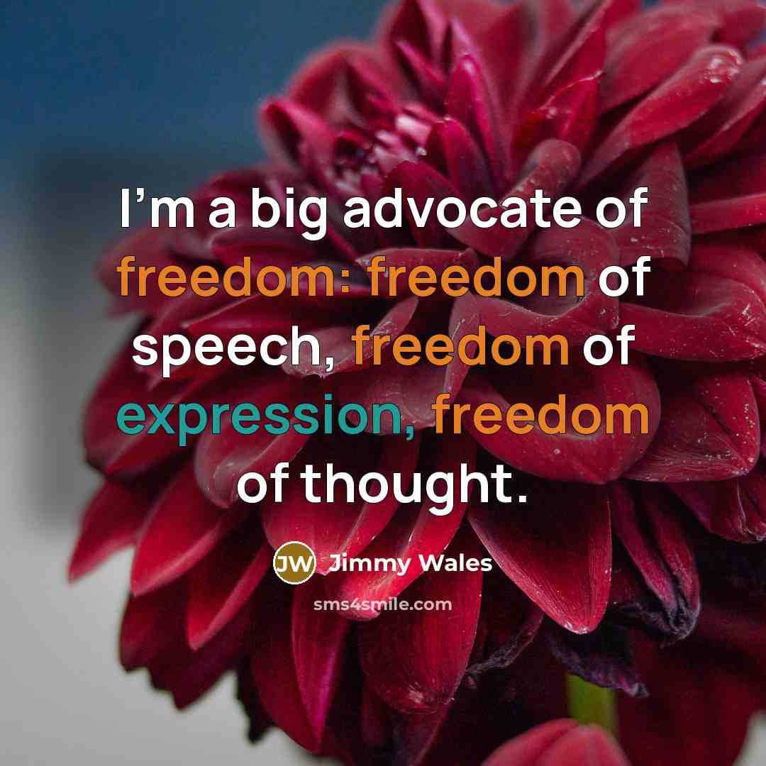 “I'm a big advocate of freedom: freedom of speech, freedom…” quote by Jimmy Wales