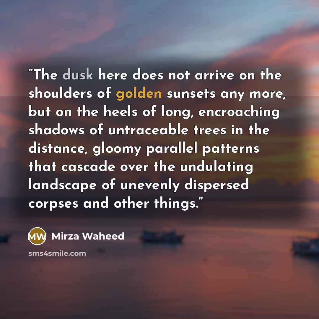 “The dusk here does not arrive on the shoulders of golden sunsets any more, but on the heels of long, encroaching shadows of untraceable trees in the distance, gloomy parallel patterns that cascade over the undulating landscape of unevenly dispersed corpses and other things.” quote by Mirza Waheed