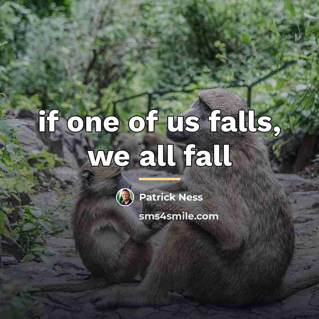 “if one of us falls, we all fall…” quote by Patrick Ness