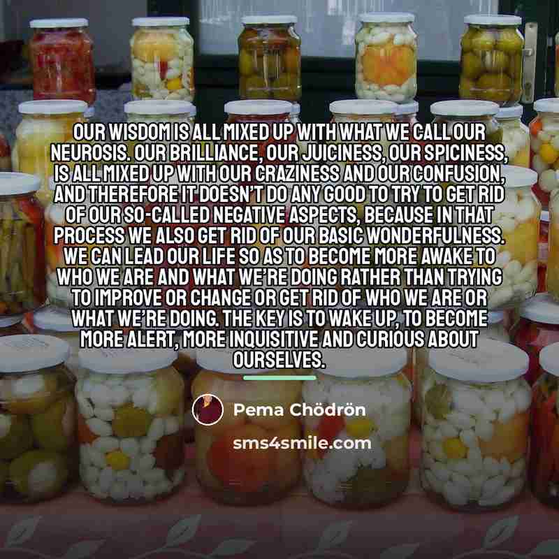 “Our wisdom is all mixed up with what we call…” quote by Pema Chodron