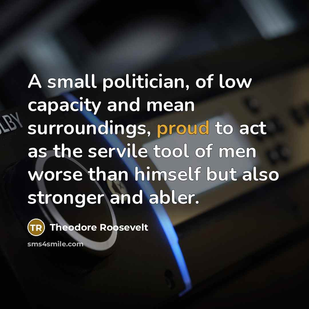“A small politician, of low capacity and mean surroundings, proud…” quote by Theodore Roosevelt
