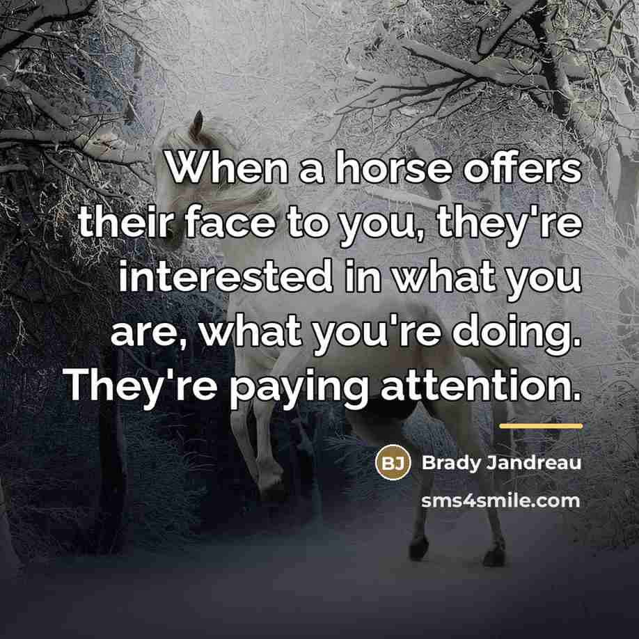 “When a horse offers their face to you, they're interested…” quote by Brady Jandreau