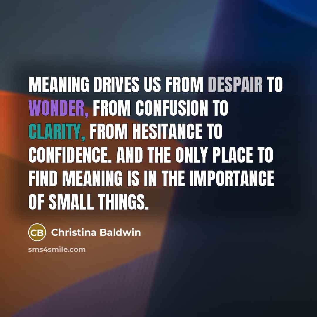 “Meaning drives us from despair to wonder, from confusion to…” quote by Christina Baldwin