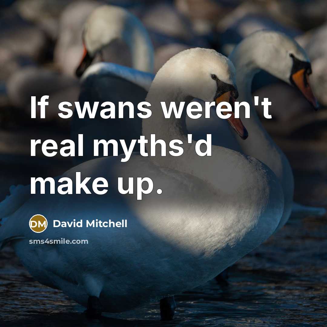“If swans weren't real myths'd make up.…” quote by David Mitchell